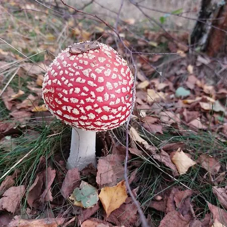 فندق Na Koncu Swiata