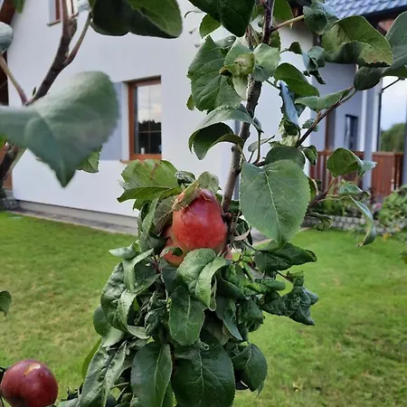 Na Koncu Swiata فندق *